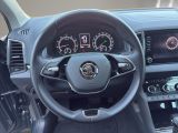 SKODA Karoq Drive 125 Klima Einparkhilfe Standheizung