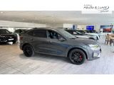 FORD Kuga Plug-In Hybrid ST-Line X AHK-klappbar Navi Leder Digitales Cockpit Soundsystem B & O