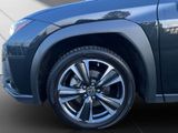 LEXUS UX 250h*1HD*SHZ*ALLW.* 15J-GAARANTIE