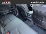 LEXUS ES 300 h*BUSINESS*SCHIEBEDACH 15J-GARANTIE*