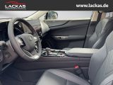 LEXUS NX 350h 243 PS Luxury 4x4, Panoramaglasdach