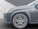 LEXUS UX 250 H,LEDER,NAVI, HUD DISPLAY*LEDER