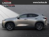 LEXUS NX 350h Executive interieur Paket +Technologie P