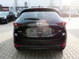 MAZDA CX-5 Sports-Line AWD+BOSE+NAVI+PDC+RFK