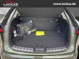 LEXUS NX 350 h 243 PS Executive Inter ieur Paket + Tec