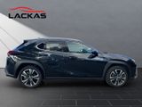 LEXUS UX 250h STYLE EDITION 1HD+CARPLAY+NAVI+PDC+LED