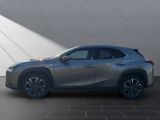 LEXUS UX 250h Style Edition