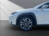 LEXUS UX 250 h*EXECUTIVE*HUD*LEDER*SCHIEBEDACH