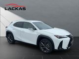 LEXUS UX 300 h F-Sport Design Technologie-Paket