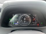 LEXUS UX 250h*FSPORT-D*1HD*ALLW.R*LEDER* 15J-GARANTIE*