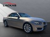 BMW 220 CABRIO 220 d*NAVI*KAMERA*LEDER
