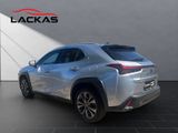 LEXUS UX 250h*F-SPORT-D*1.HD*NAVI*SHZ*CARPLAY*PDC*