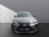 LEXUS UX 250H*SCHECKHEFT*TOTW*LEDER*