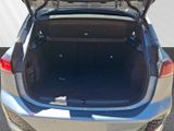 BMW 220 Active Tourer i M Sport Parking Assistant Automatik