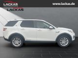 LAND ROVER Discovery Sport El. Fondsitzve rst*El. Panodach*