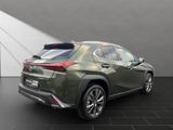LEXUS UX 300h*F-Sport-D.*15J-GARANTIE *TOTW.*INDUKT.*