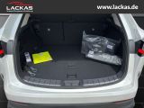 LEXUS NX 350h h 243 PS Executive *15-J Int + Techno P
