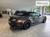 FORD Mustang GT Convertible 5.0 Ti-VCT V8 EU6d-T Faltdach Navi Leder Soundsystem B & O Klimasitze