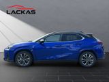 LEXUS UX 300h F-Sport E FOUR Schiebedach+360°+LEDER