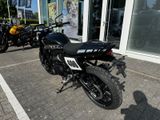 TRIUMPH Tracker 400 NEW Lagermaschine