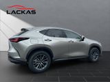 LEXUS NX 450h + Business 4x4+SITZBELÜF.+SHZ hinten+360