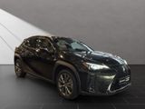 LEXUS UX 250 h F-Sport Design Allwetter