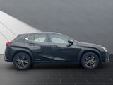 LEXUS UX 250H LEDER+NAVI+HUD DISPLAY+15J.GARANTIE*