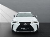 LEXUS UX 250h*F-SPORT-D.*1.HD*ALLW.REIF** 15J-GARANTIE