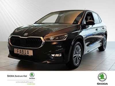 SKODA Fabia Selection Klima Navi Einparkhilfe