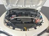 ALFA ROMEO Stelvio Veloce Q4 AHK, 20"