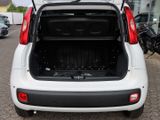 FIAT New Panda Pandina Pop