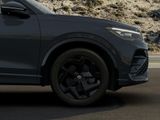 VW Tiguan R-Line 1,5 l eHybrid Blackstyle, WR, IQ