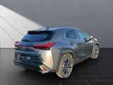 LEXUS UX 250 h STYLE Edition 15J-GARANTIE