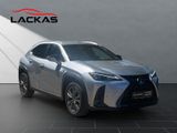 LEXUS UX 250h*F-SPORT-D*1.HD*NAVI*SHZ*CARPLAY*PDC*