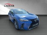 LEXUS UX 300h F-SPORT-D.*SOFORT *15JH-GARANTIE*