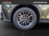 LEXUS NX 350h h 243 PS * Sitzklima Connect - Paket 360