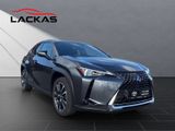 LEXUS UX 250 h Executive Line