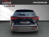 LEXUS NX 350h 243 PS Luxury 4x4, Panoramaglasdach