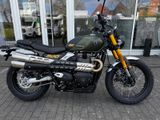 TRIUMPH Scrambler 900 MY26 Sofort Verfügbar!