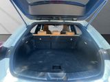 LEXUS UX 250 h F-Sport Design NAVI+CARPLAY+LENKRADH.