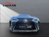 LEXUS UX 250h STYLE SHZ+KAMERA+PDC+LED+DAB+CARPLAY+18"