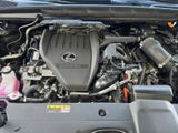 LEXUS RX 500 h F Sport MATRIX+PANORAMA+MARK LEV.+HuD+3