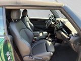 MINI Cooper Cabrio LED Navi PDC SHZ Klima Leder