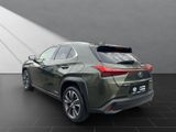 LEXUS UX 250H*1HAND*TOTW*SCHECKHEFT*