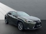 LEXUS UX 250h*FSPORT-D*1.HD*ALLW.REIF*SHZ* NAVI*CARPL*