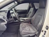 LEXUS UX 250h *lenkH*sitzH*Kamera*