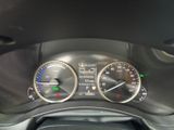 LEXUS NX 300 h E-Four Luxury *HUD*PANO*360*