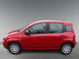 FIAT New Panda Pandina Pop 1.0 GSE 65 PS Klima el. FH Servo Kopf & Seiten Airbag