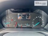 FORD Puma Titanium Design Navi LED DAB Ambientebeleuchtung SHZ LenkradHZG Spurhalteass. Verkehrszeichenerk.