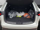 LEXUS NX 450h OVERTRAIL*PANOARAMA*15 JAHRE GARANTIE